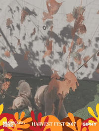 harvestfestny GIF by Meatpacking District