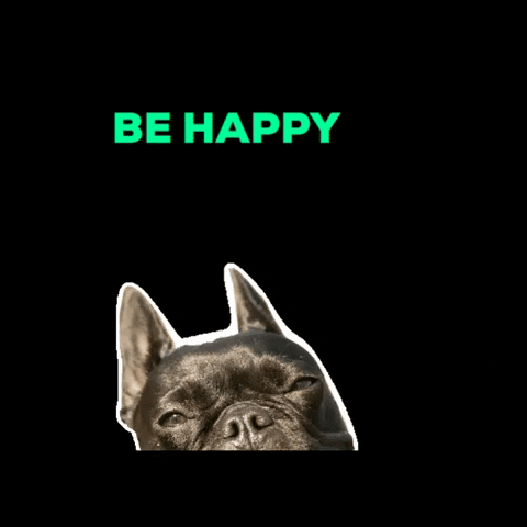 blackmagic-cbd giphygifmaker cbd bulldog blackmagic GIF