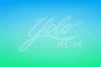 You Only Live Once GIF by Yolo Rum