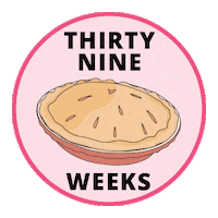 Pregnancy Baby Size Sticker by Bump Boxes