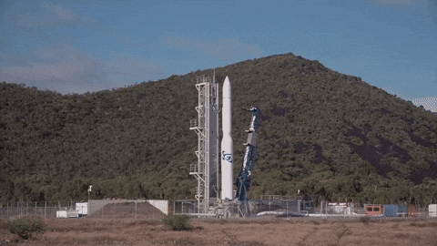 sozinet giphyupload GIF