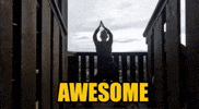 Tvln GIF by The Vanlife Network