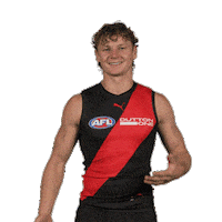 Dons Bombers Sticker by Essendon FC