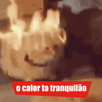 arnobrasil verao calor xtreme arno GIF