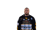 Hockey Win Sticker by HC Pustertal Wolves
