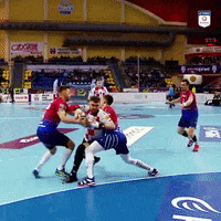 Handball Superliga GIF by Superliga