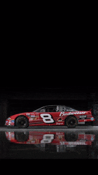 josiah_kopp nascar budweiser dale earnhardt jr dale jr GIF