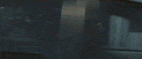 Life On Earth GIF by Hurray For The Riff Raff