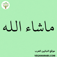 Allah GIF by VeganArabs