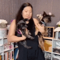GIF by Shelly Saves the Day