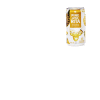 summer pineapple Sticker by RITAS