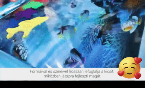 marashop giphygifmaker giphyattribution GIF
