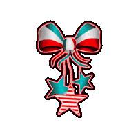 Celebrate United States Sticker by The3Flamingos