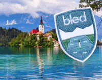 Passion4carp carp karpervissen bled lake bled GIF
