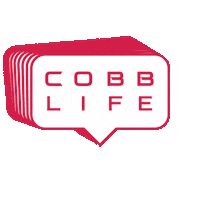 Smoke Entertainment Sticker by COBB BLOBAL