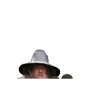 DEBUFFEL lotr bvb gandalf hobbit Sticker