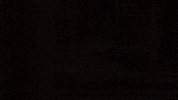 Flower Sunset GIF by HNRY FLWR