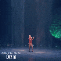 Fun Comedy GIF by Cirque du Soleil