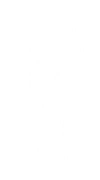 Mr And Mrs Wedding Sticker