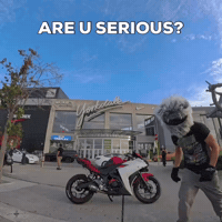 Bunny Seriously GIF