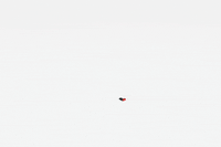 all we know 3d GIF by hateplow