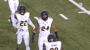 Football Celebration GIF by Pac-12 Network