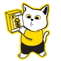 YoriBetterDIY yori yorithecat yoribetterdiy Sticker