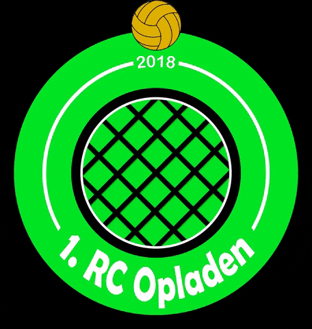 Leverkusen Roundnet GIF by 1. Roundnetclub Opladen