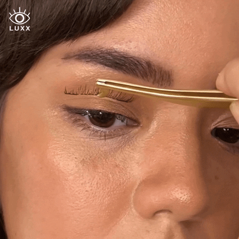 Girl Beauty GIF by Luxx Lash