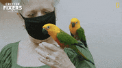 National Geographic Love GIF by Nat Geo Wild