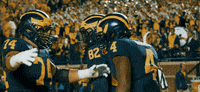 Go Blue College Football GIF by Michigan Athletics