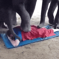 massage GIF