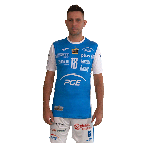 Belchatow Sticker by PGE Skra Bełchatów