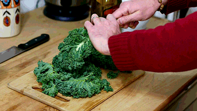 kale GIF