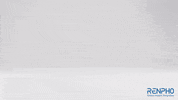 Fitness Health GIF by RENPHO