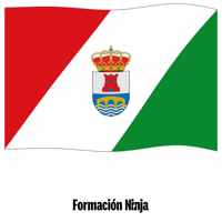 Bandera Granada GIF by Formación Ninja
