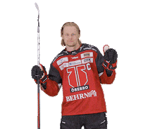 Happy Fun Sticker by Örebro Hockey