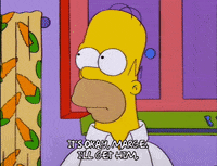 homer simpson episode 3 GIF