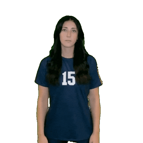 Womens Volleyball Sticker by Clarke University