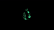 loop transforming GIF by Sam Jack Gilmore
