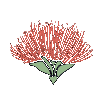Hawaii Flower Sticker by Momohara Media