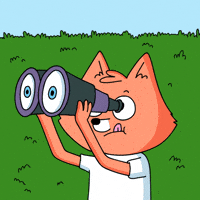 Crypto Looking GIF by Fox Fam