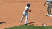 Ny Mets Reaction GIF by New York Mets