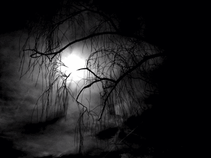 black and white dark GIF