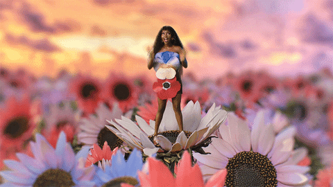 Summer Flowers GIF by Tkay Maidza