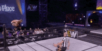 Frankie Kazarian Aew On Tnt GIF by All Elite Wrestling on TNT