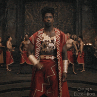 Honoring Paramount Pictures GIF by Children of Blood and Bone