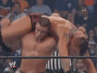 wwe sports wwe wrestling summerslam GIF