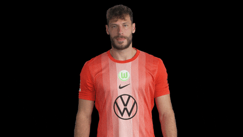 Germany Deal With It GIF by VfL Wolfsburg