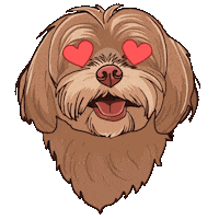 chloeezoey chloez Sticker